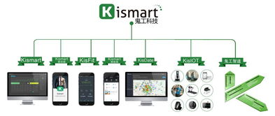 2018年全球健身展會(huì)時(shí)間縱覽 互聯(lián)網(wǎng)數(shù)據(jù)服務(wù)驅(qū)動(dòng)下的行業(yè)新動(dòng)態(tài)