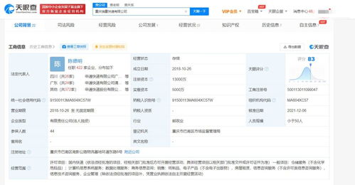 專業(yè)商務(wù)信息咨詢 企業(yè)決策的智慧引擎